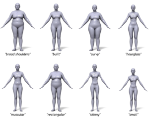 BodyTalk: Tool that relates 3D body shape to words