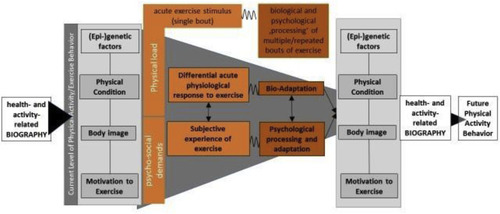 The iReAct study - A biopsychosocial analysis of the individual response to physical activity