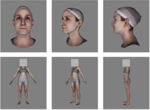 The neural coding of face and body orientation in occipitotemporal cortex